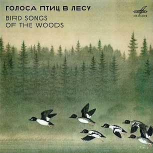 Bird Songs of the Woods