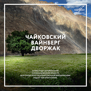 Чайковский, Вайнберг, Дворжак